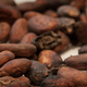 Image for article titled I Tried Some Aphrodisiacs, and Didn’t Even Get a Stupid Placebo Effect